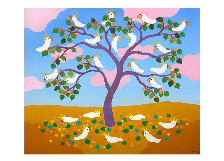 Apricot Harvest
